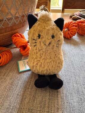 Jellycat Peanut Cat NEW! FAST SHIP Amuseables Halloween Authentic